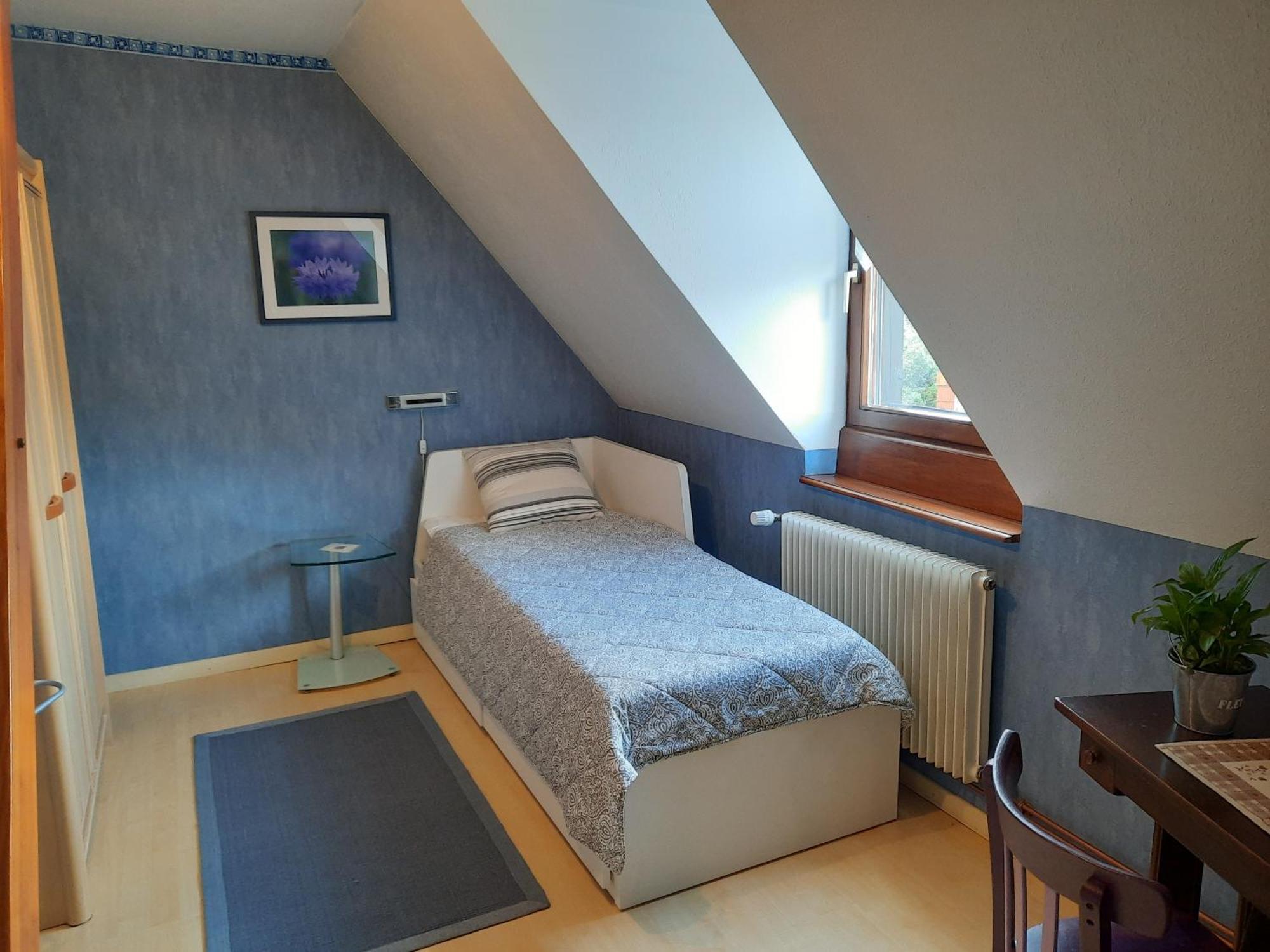 Chambres D'Hotes "Au Val Sejour" Alsace Saint-Martin  エクステリア 写真