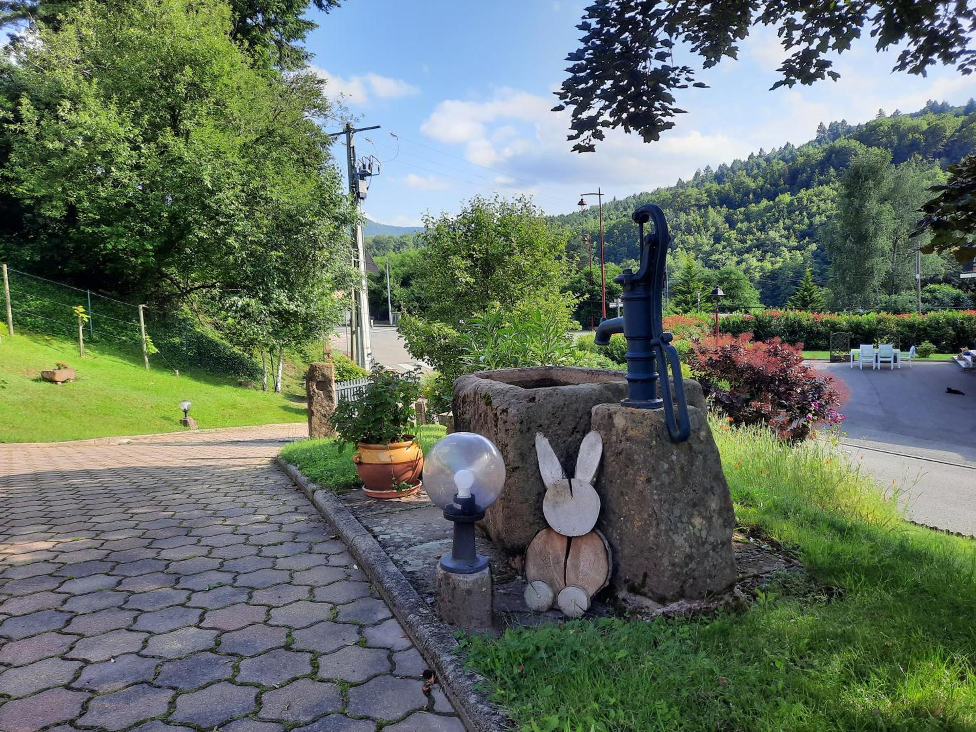 Chambres D'Hotes "Au Val Sejour" Alsace Saint-Martin  エクステリア 写真