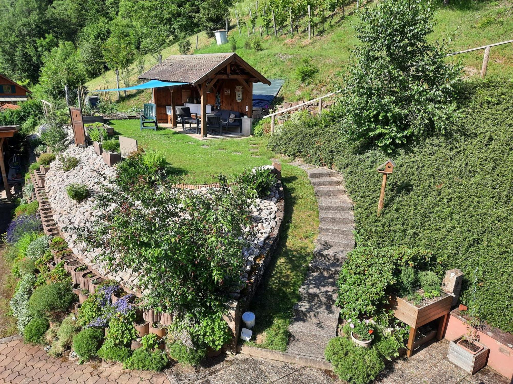 Chambres D'Hotes "Au Val Sejour" Alsace Saint-Martin  エクステリア 写真