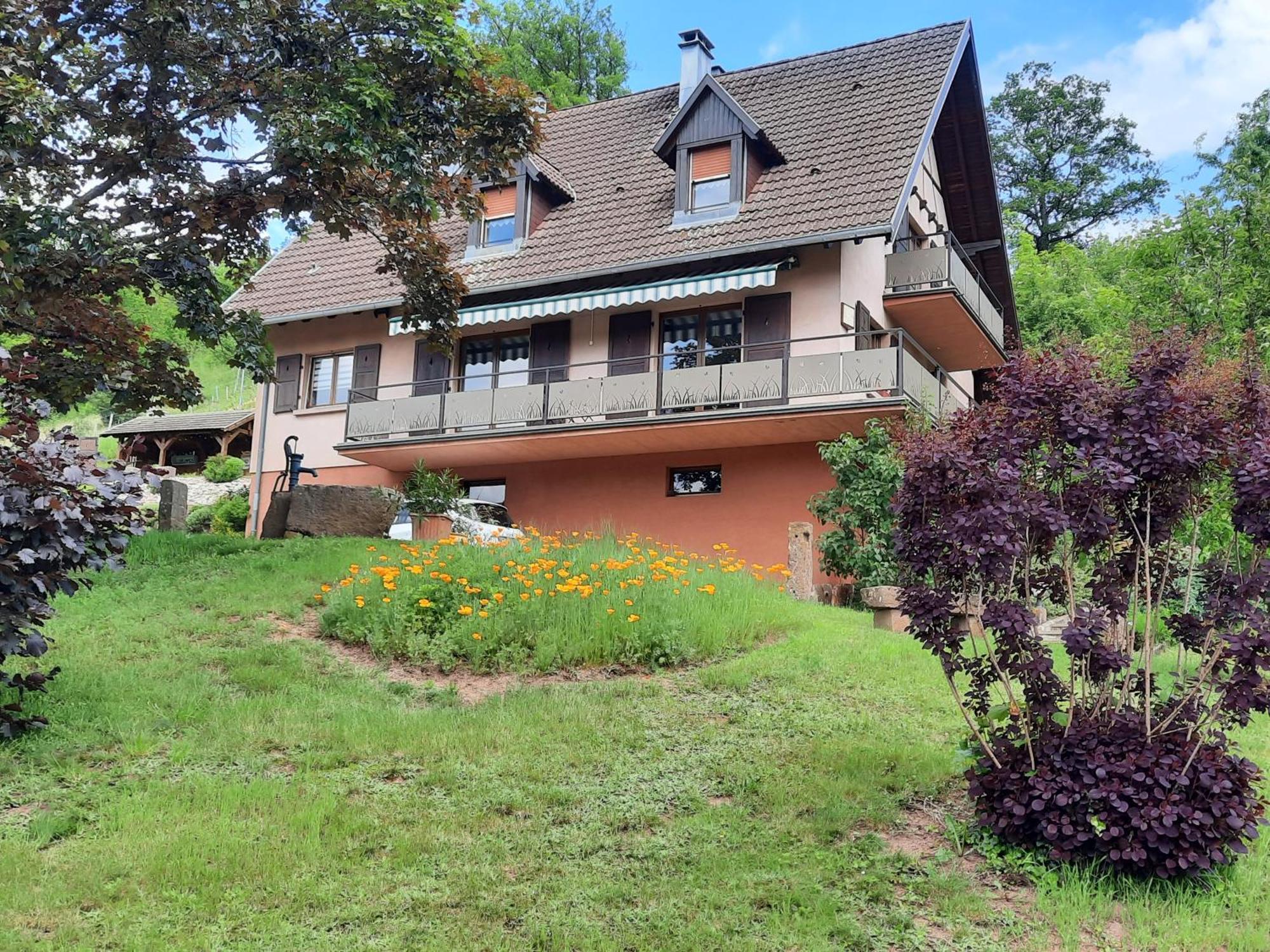Chambres D'Hotes "Au Val Sejour" Alsace Saint-Martin  エクステリア 写真