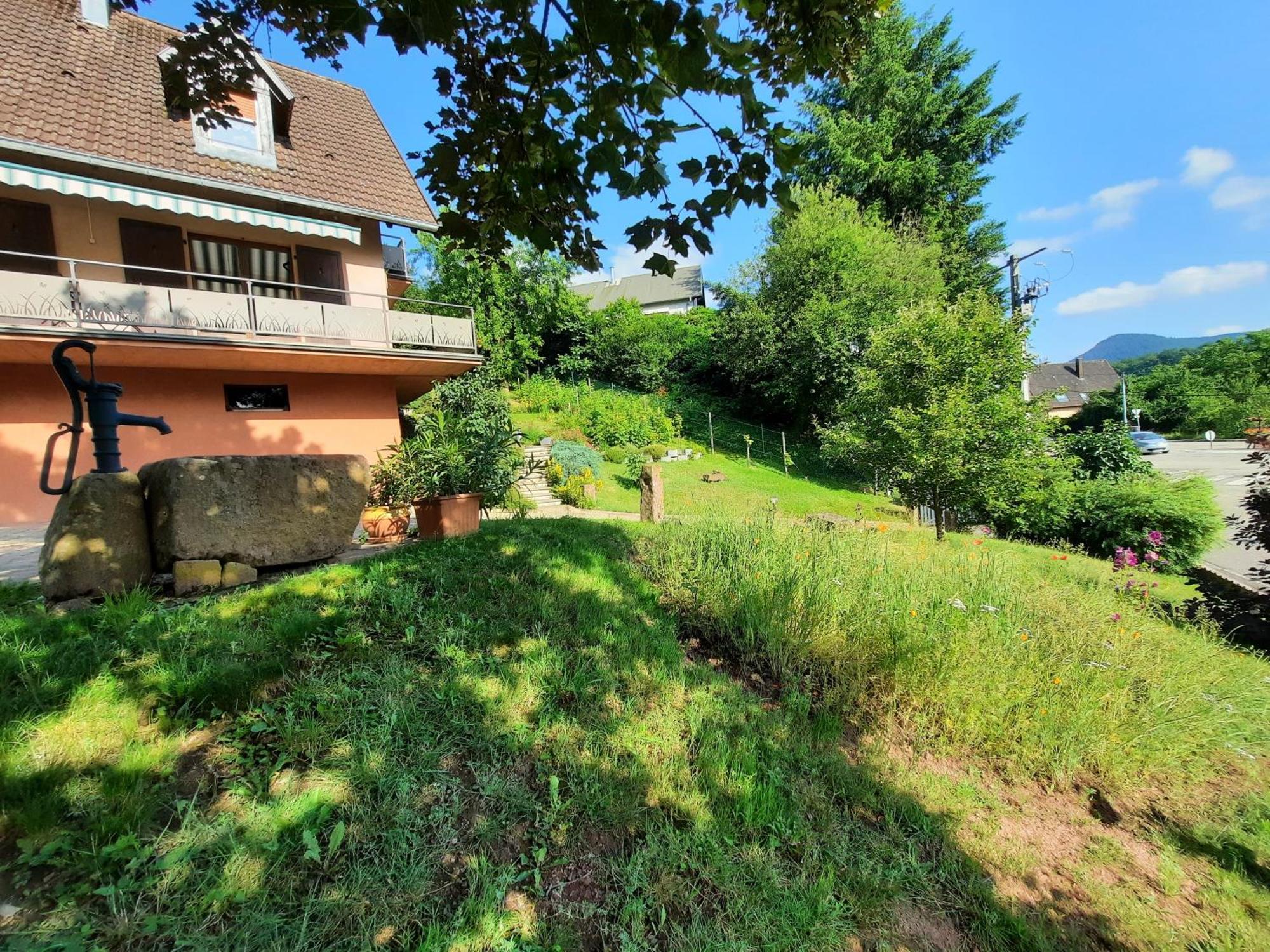 Chambres D'Hotes "Au Val Sejour" Alsace Saint-Martin  エクステリア 写真