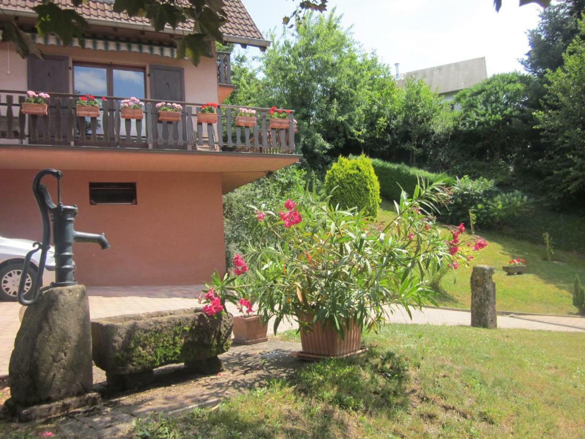 Chambres D'Hotes "Au Val Sejour" Alsace Saint-Martin  エクステリア 写真
