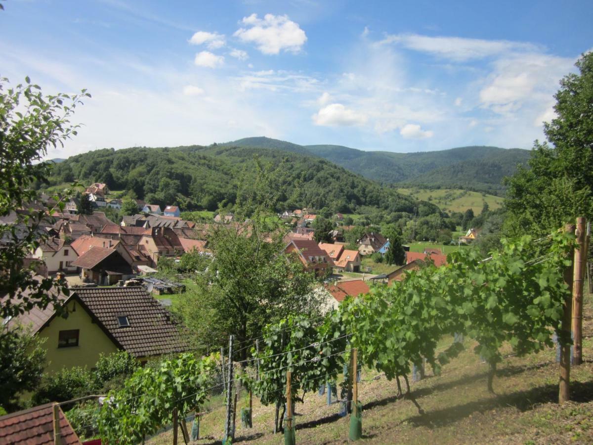 Chambres D'Hotes "Au Val Sejour" Alsace Saint-Martin  エクステリア 写真